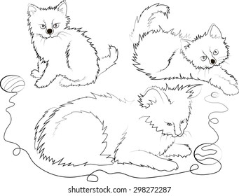 funny cats with a ball