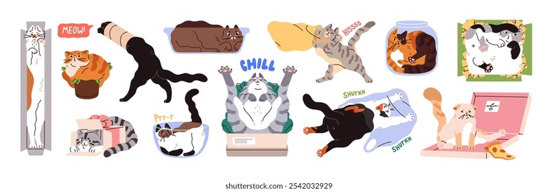 Funny cats in cardboards, bowls set. Naughty kitties lying inside boxes with different shape. Cute kittens play with packs, bags, sit in pot, have fun. Flat isolated vector illustrations on white