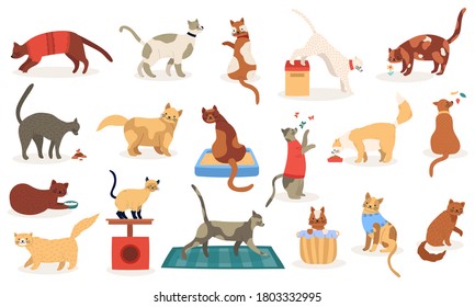 Funny cats. Cute adorable kitty cats, sleeping playing pedigree breeds pets, domestic kitten characters isolated vector illustration icons set. Domestic pet cat, pedigree and breed character