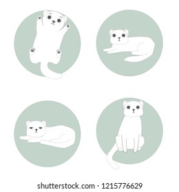 funny cats in different poses on a light blue background.