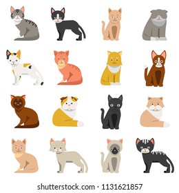 Funny cats in flat style. Isolate on white background. Vector collection of cat, feline with whisker illustration