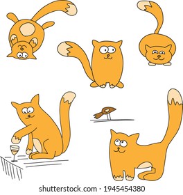 Funny cats - hand drawn vector illustration set in cartoon comic style