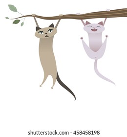 Hanging Cat Images Stock Photos Vectors Shutterstock