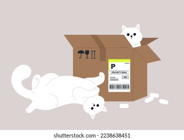 Funny cats lying and sitting in a parcel cardboard box, delivery service