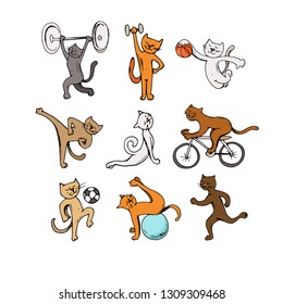 funny cats play sports