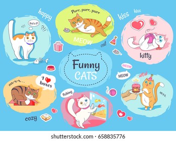 Funny cats poster with round images of their everyday life. Fluffy domestic animals' entertaining and routine vector banner