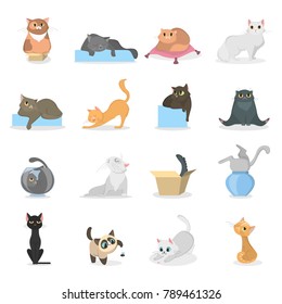 Funny cats set. Cartoon pets plsying and sleeping on white.