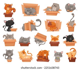 Funny Cats Sitting and Sleeping in Cardboard Box Big Vector Set