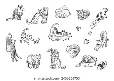 Funny cats vector illustrations set.