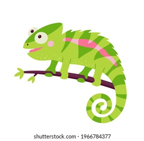 Funny chameleon lizard character. Green reptile with curved tail sitting on branch of jungle tree. Isolated vector illustration on white background.
