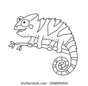 Funny chameleon lizard character for kid coloring book. Reptile with curved tail sitting on branch of jungle tree. Isolated vector illustration on white background.