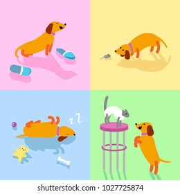 The funny character of dachshund dog in various poses. Flat design