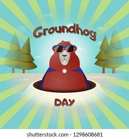 Funny character marmot in sunglasses in the colors of the American flag and in a raincoat. Happy Groundhog Day. Vector illustration.