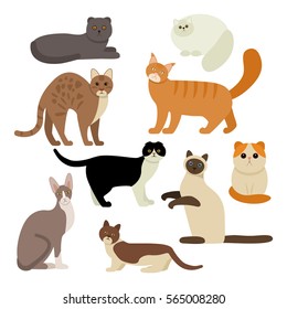 Funny characters are cats different breeds. Set of icons of cats in a flat style. vector illustration isolate on a white background.