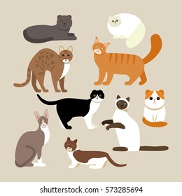 Funny characters are cats different breeds. Set of icons of cats in a flat style. vector illustration isolate on a background.