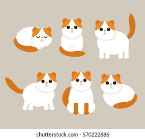 Funny characters of cats in different poses. flat vector illustration, isolated on a light background