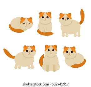 Funny characters of cats in different poses. flat vector illustration, isolated on a light background