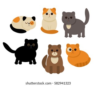 Funny characters of cats in different poses. flat vector illustration, isolated on a light background
