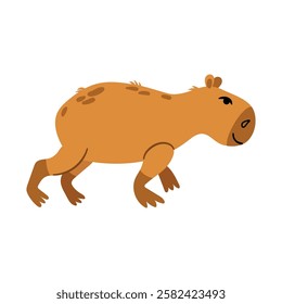 Funny cheerful capybara. White background, isolate
