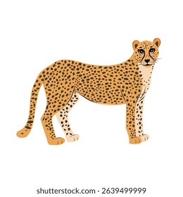 Funny cheetah isolated. Children cute animal vector illustration. African wildlife. Big cat guepard.
