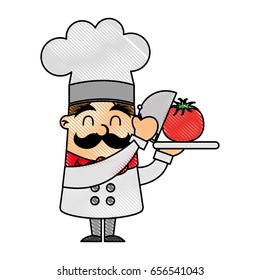 funny chef with tomato avatar character