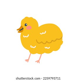 Funny chick, vector flat hand drawn illustration