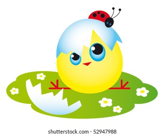 funny chicken