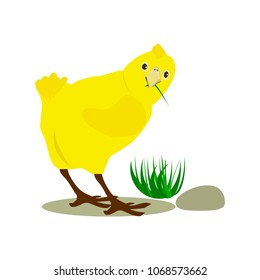 Funny chicken with blade of grass. Vector illustration.