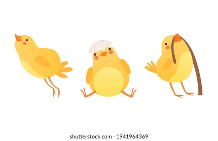 Funny Chicken in Different Situations Set, Cute Adorable Bird Character Cartoon Vector Illustration