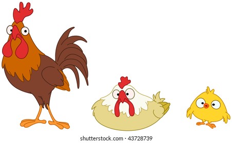 Funny chicken family