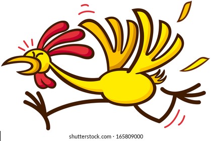 Funny chicken looking anxious and worried while flapping and running away in a distressed way