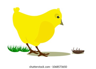 Funny chicken looking on bug. Vector illustration.