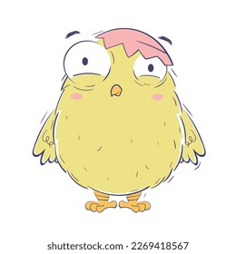 Funny chicken stands with a shell on its head