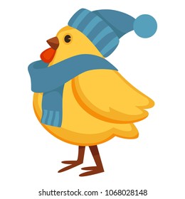 Pollo divertido con sombrero de punto caliente y bufanda