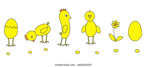  Funny chickens on white background. Easter yellow painted flat images of chickens and eggs.  