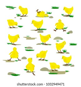 Funny chickens. Vector illustration