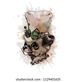 Funny chihuahua dog with hat in steampunk  vintage style. Vector illustration