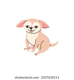 Funny chihuahua dog sitting on its paws, flat cartoon vector illustration isolated on white background. Small and cute chihuahua of decorative dogs breeds.