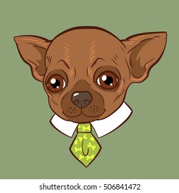 Funny chihuahua dog with tie. Vector illustration