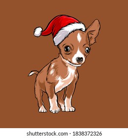 funny chihuahua dog wearing santa claus christmas costume