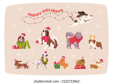 Funny christmas dogs. Cute puppy in winter clothes animals in scarf and sweater exact vector cartoon illustration set