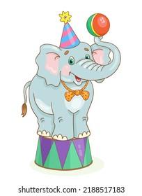 Funny circus gray elephant in a festive hat with a ball in its trunk stands on a pedestal. In cartoon style. Isolated on white background. Vector illustration