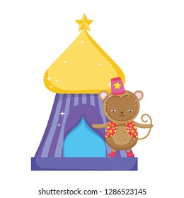 funny circus monkey with hat in tent