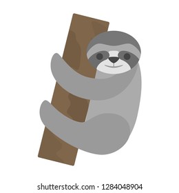 Funny cloth on the tree branch. Wild animal with grey fur. Isolated flat vector illustration