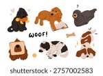 Funny cocker spaniel clipart set with humorous poses, cute dog illustrations upside down and in toast window, playful puppy graphics with toy and book, adorable pet vector collection