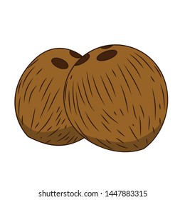 Funny Coconut in cartoon style. Concept Fruits and vegetables. Summer.
