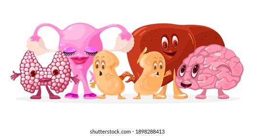 Funny collection of anatomical characters with emotions, hands and legs. Vector brain, liver, kidneys, thyroid gland, uterus and ovary for healthcare idea isolated on white background