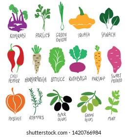 Funny collection of flat colorful vegetables and herbs. Isolated vector icons.