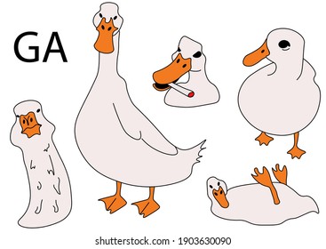 funny color illustration of goose set isolated on white. The idea of greeting cards, social networks, sdery