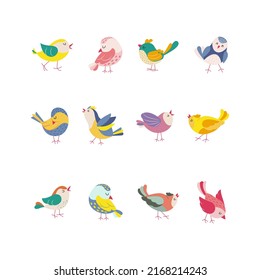 Funny colored birds in different poses set. Exotic birds collection. Vector illustration in flat style.